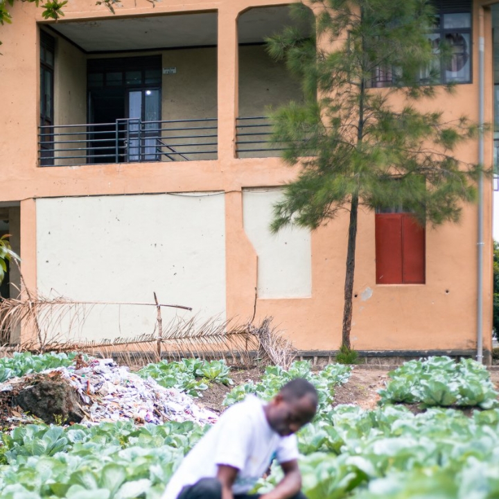 L'INSTITUT MWANGA REBOISÉ ET INSCRIT DANS L'AGENDA VERT