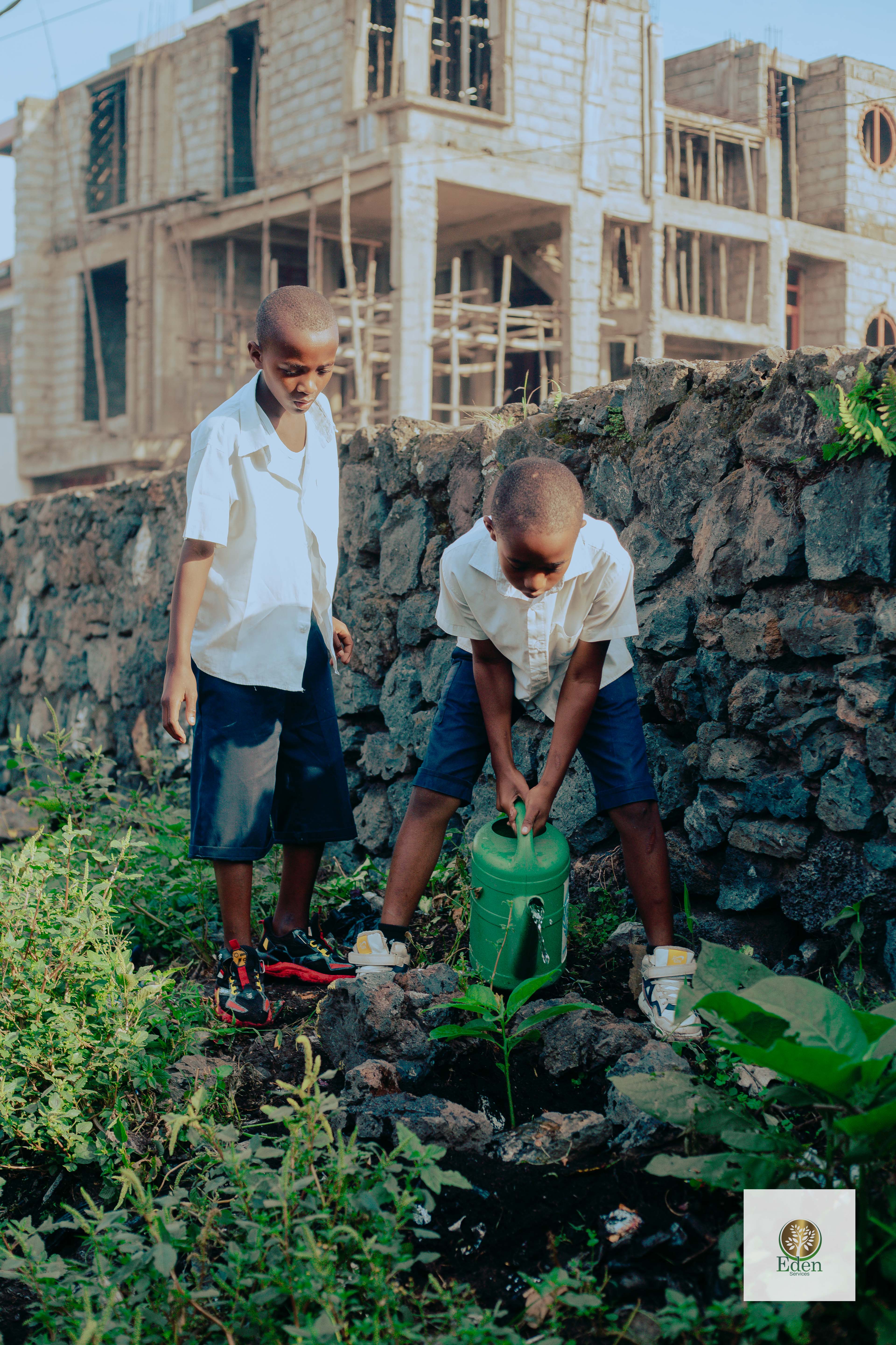 ACTIVITÉ DE REBOISEMENT À L'ECOLE PRIMAIRE NYIRAGONGO 2
