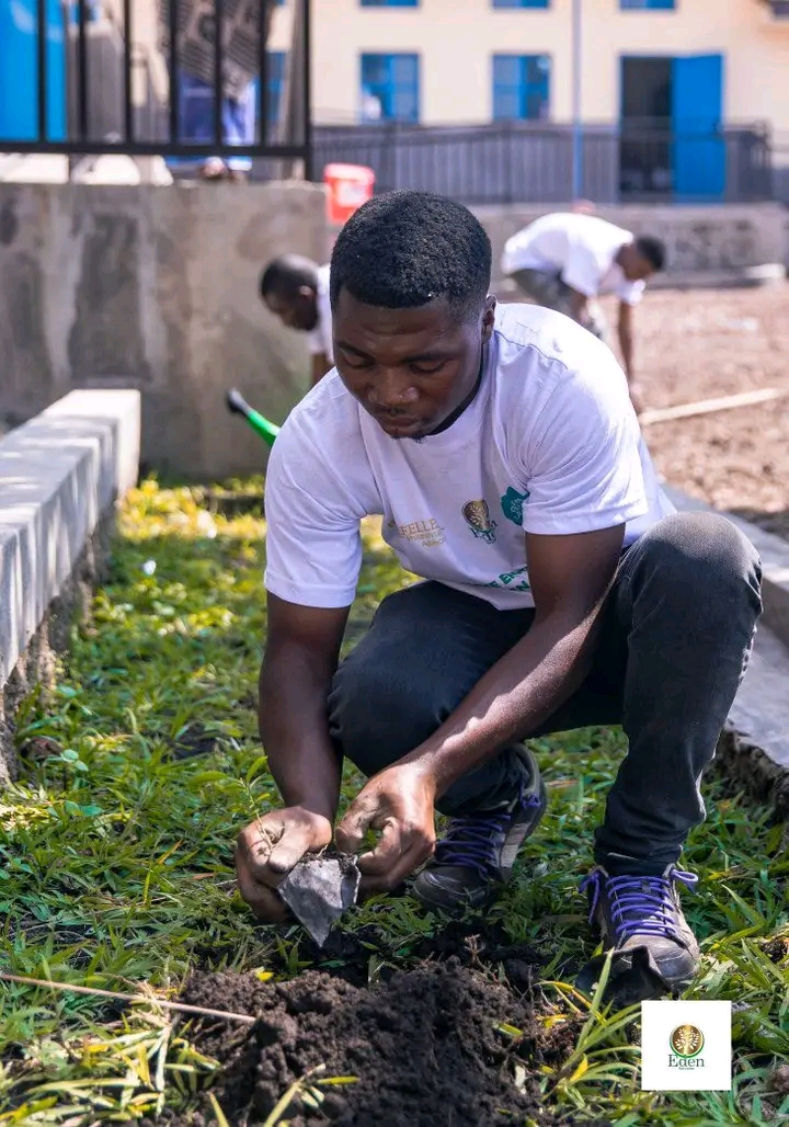 L'ECOLE PRIMAIRE MIKENO REBOISÉE ET SENSIBILISÉE À L'ÉDUCATION ENVIRONNEMENTALE
